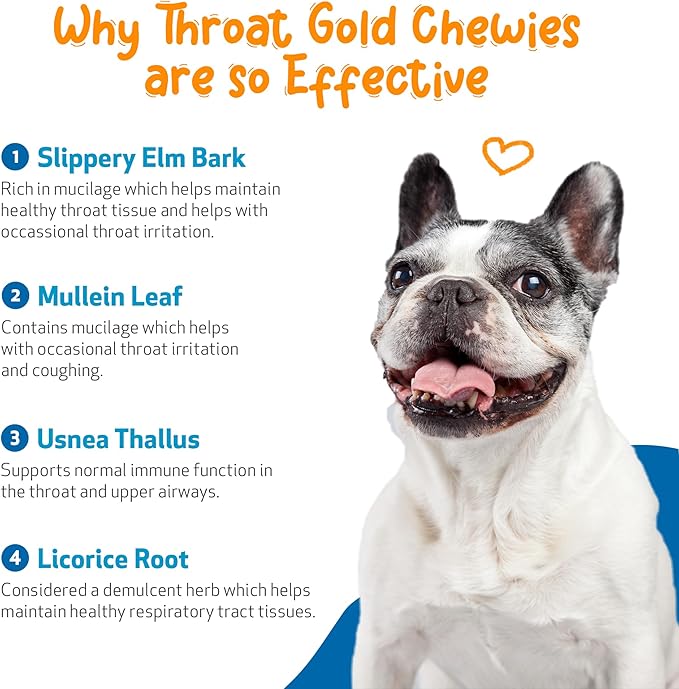 Pet Wellbeing Throat Gold Chewies for Dogs - Vet-Formulated Upper Respiratory Support - Convenient Chewies for Throat Comfort & Occasional Cough - Holistic Herbal Dog Supplement - 90 Count