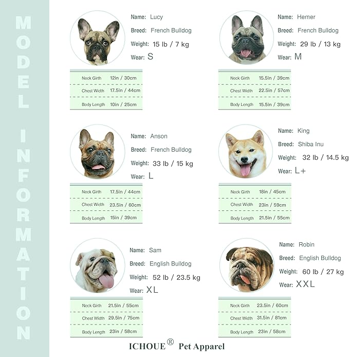 iChoue English Bulldog Bee Honeybee Bumblebee Caterpillar Insect Halloween Costumes Hoodies Sleeveless Clothes Outfits Cosplay Shirts for Dogs Pitbull American Bully - Green Purple, XXLarge