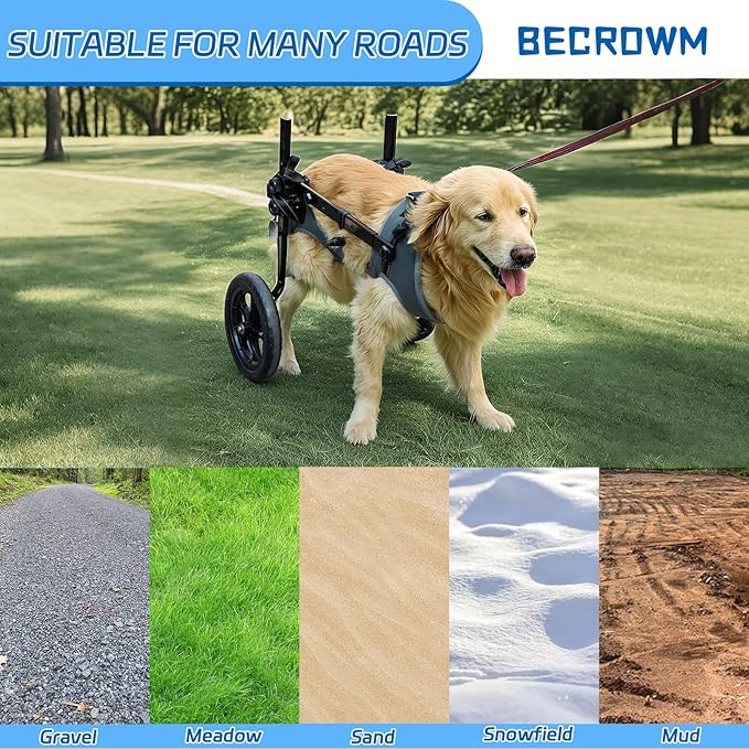 Dog Wheelchair for Back Legs, Light Weight Dog Wheelchair Cart with Disabled Hind Legs Walking, Adjustable