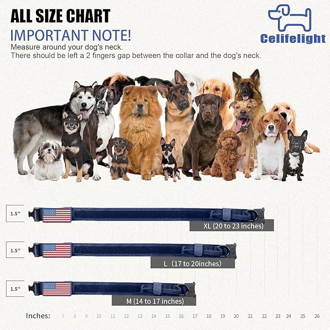 Tactical Military Collar - Adjustable Nylon, Heavy Duty Metal Buckle with Handle for Dog Training, with Patches (Blue, M)