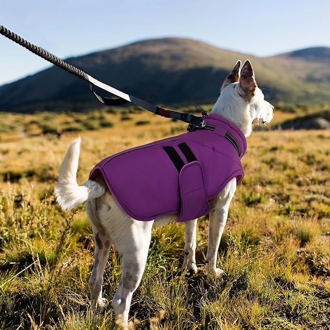 IECOii Small Dog Coat, Waterproof Dog Snow Jacket with Built in Collar, Thermal Fleece Lined for Cold Weather, Safety Reflective Dogs Winter Coat for Nighttime Walks, Easy On/Off, Purple - M