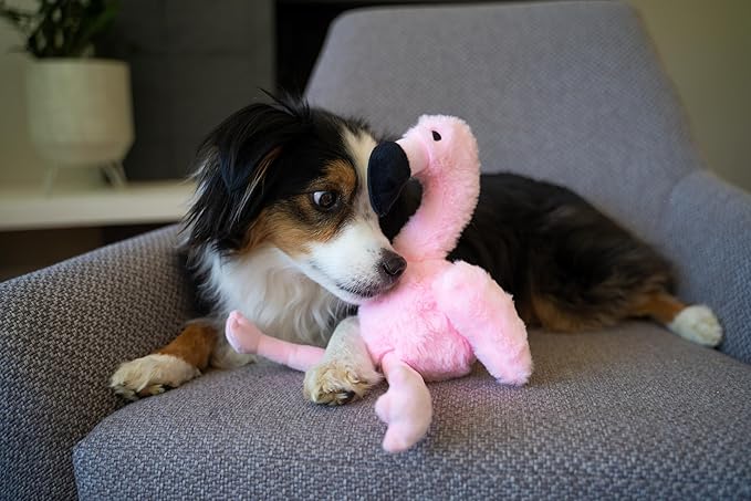 Flourish Pets 3 in 1 Multi-Layer Chew Toy for Active Dogs | Non-Toxic BPA Free Double Stitched Soft Fabric Exterior Dog Toys | Long-Lasting Dog Plush Toys –Small Flamingo 13.5"