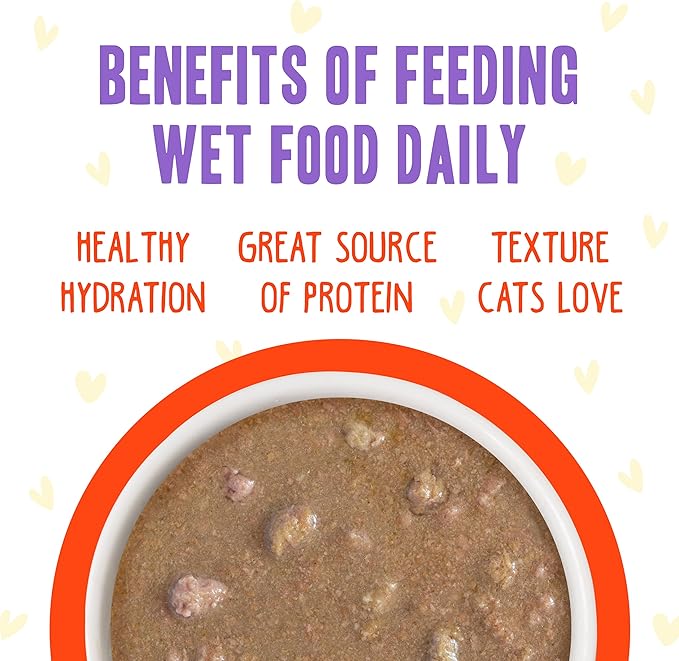 Weruva B.F.F. OMG - Best Feline Friend Oh My Gravy!, Chicken & Salmon Stir It Up with Chicken & Salmon in Gravy, 2.8oz Can (Pack of 12)