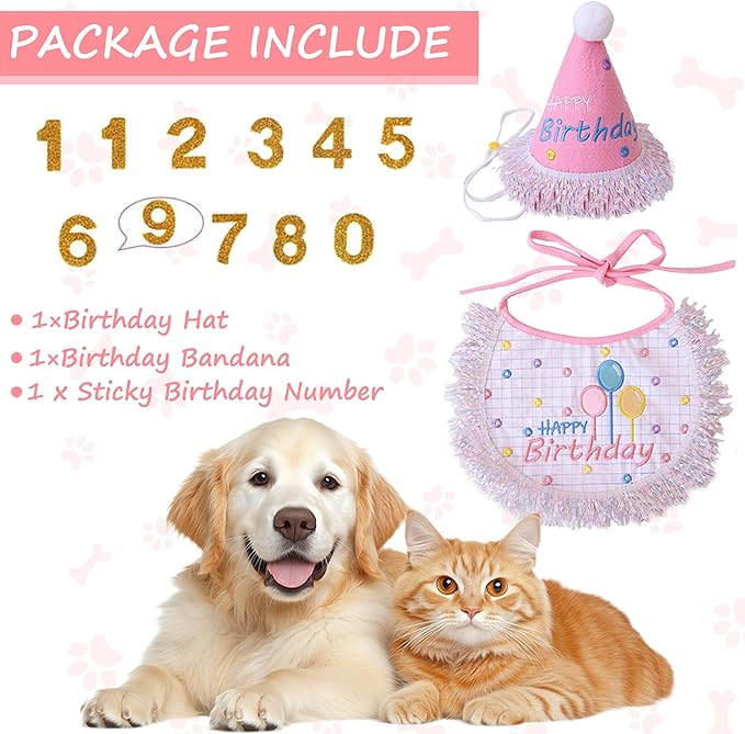 Dog Birthday Party Supplies, Dog Birthday Bandana Set,Bling Boy Girl Party Hat with Numbers for Puppy Large Medium Small Pet (Silver Set, Large)
