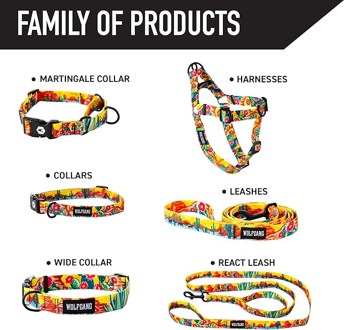 Wolfgang Heavy Duty Martingale Dog Collar with Quick Release Nylon Buckle for Walking & Training, PackLeader Print, Large