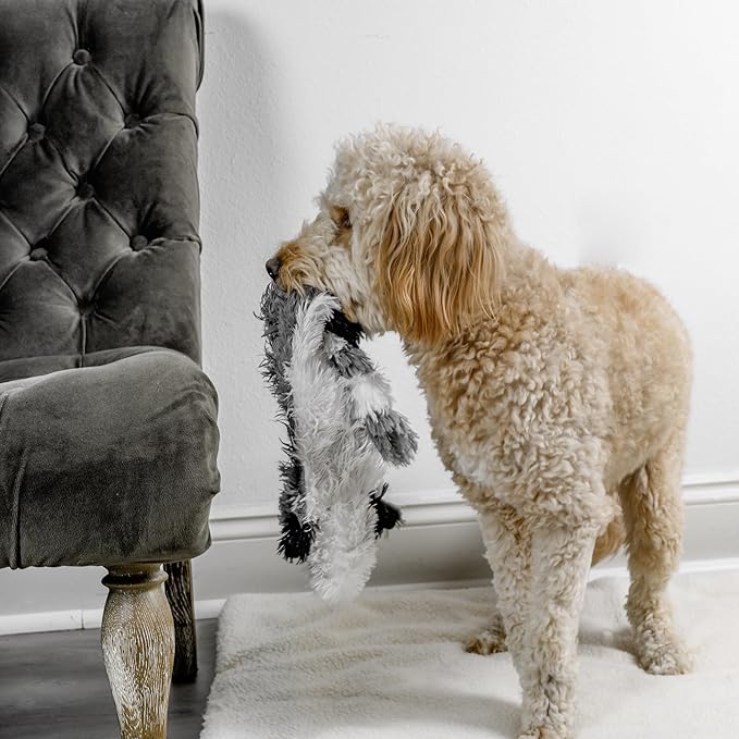 FGA MARKETPLACE Racoon Flat NO Stuffing NO Squeak Plush Dog Toy, Funny Style Will Entertain Your Pet for Hours, Recommended for Small and Medium Dog 21 INCH Long