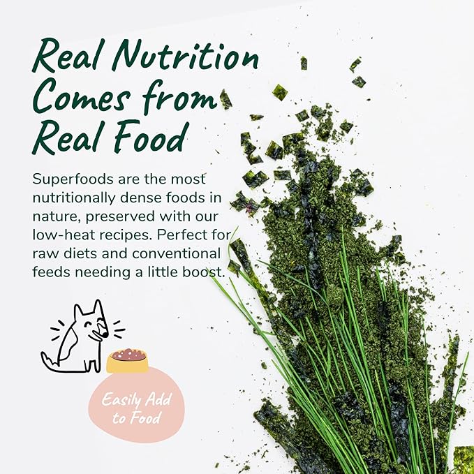 kin+kind Organic Multivitamin for Dogs & Cats - Pet Supplement for Healthy Skin and Coat - Safe, Natural Formula with Wheatgrass, Kelp, Seaweed and Coconut - Made in USA - 4oz (Medium)