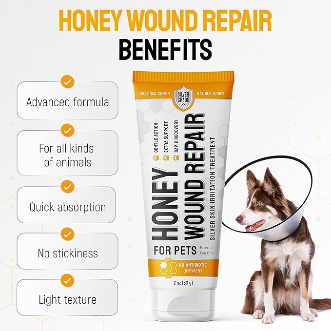 Honey Silver Wound Care for Pet no Antibiotic Wound Ointment for Dogs - Hot Spot Treatment for Dogs & Horses – Cat & Dog Wound Care for Cuts, Rashes, Irritation Honey Wound Repair Gel with Silver 2 Oz