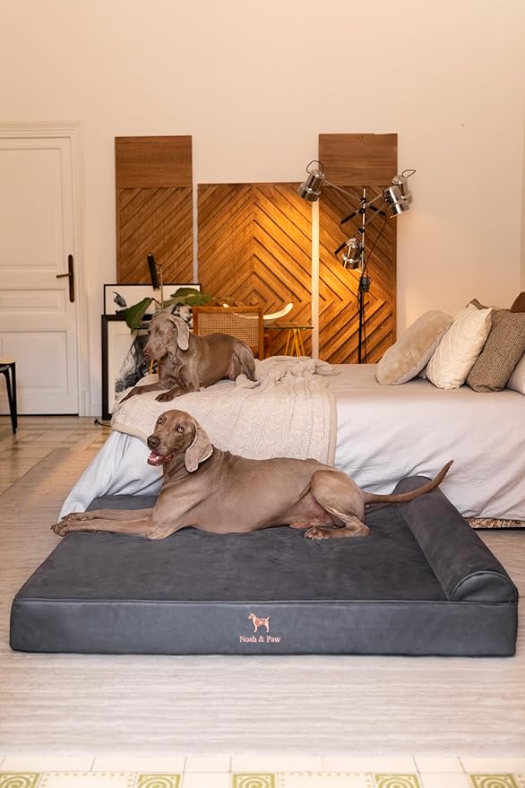 NOAH & PAW Giant Dog Bed XXL 55x45x9.5 Inch, Orthopedic Dog Beds, Eggshell Memory Foam Infused with Cooling Gel, Waterproof, Machine Washable, Includes Inner Cover (Faux Leather)