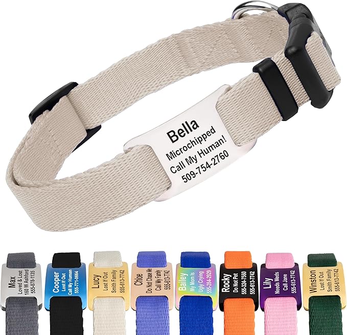 GoTags Personalized Dog Collar with Nameplate, Adjustable Dog Collar with Custom Engraved Slide On Pet ID Tag in Stainless Steel, Silent, No Noise Dog Tag (Beige, X-Small)