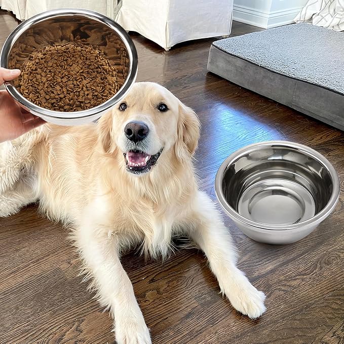 2 Pcs 1 Gallon Large Dog Bowls - Food Grade Stainless Steel Metal Water Bowls, Easy to Clean Food Bowl for Medium Large Dogs Indoor Outdoor