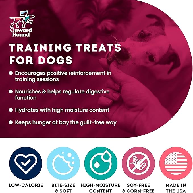Training Treats for Dogs - Soft Salmon - Low Calorie Dog Training Treats for Sensitive Stomachs with Single Source Premium Protein, Corn Free, & Soy Free Formula - 10 oz