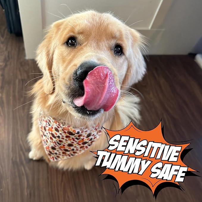 Chippin Soft Dog Treat, Natural Dog Snack, No Chicken, No Beef, Hypoallergenic, Great with Allergies, Made in USA, (5oz, 1-Pack)