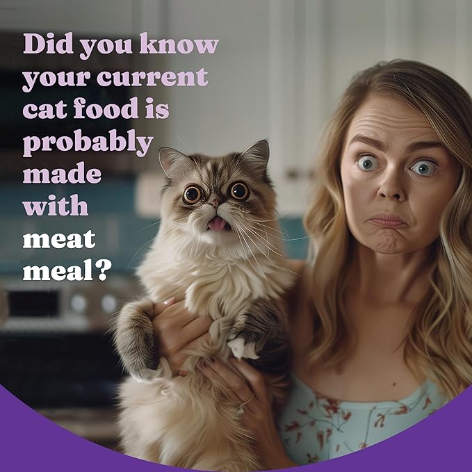 Halo Holistic Cat Food Wild Caught Salmon & Whitefish Formula, Healthy Grains Dry Cat Food, For Sensitive Stomach Support, Kibble for Adult Cats, 6 lb Bag