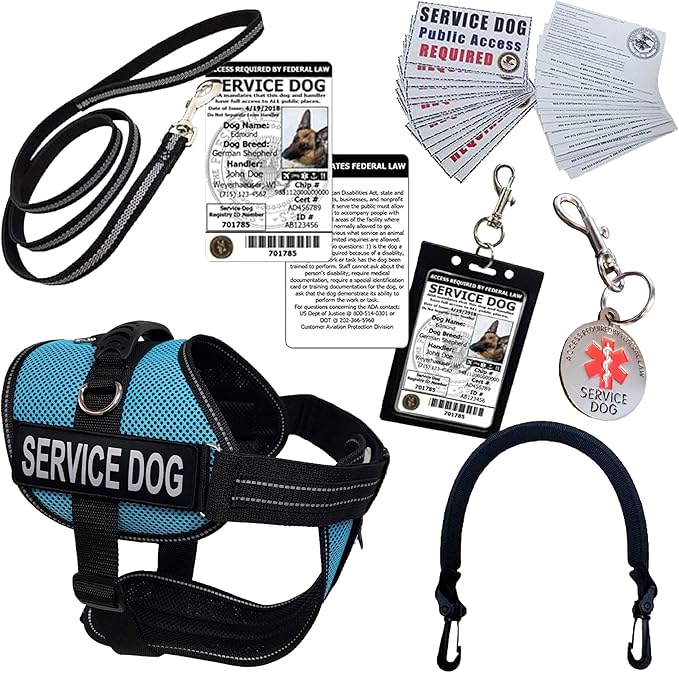 ActiveDogs Full Service Dog Kit - Medium Aqua - Vest Harness with Handle, ID, ID Holder, ADA Service Dog Cards, Medical Alert Keychain, Leash & Patches