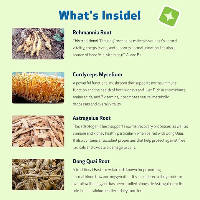 Pet Wellbeing Kidney Support Gold for Dogs - Supports Healthy Kidney Function, Fluid Balance, Energy Levels, Rehmannia, Dong Quai - Veterinarian-Formulated Herbal Supplement 2 oz (59 ml)