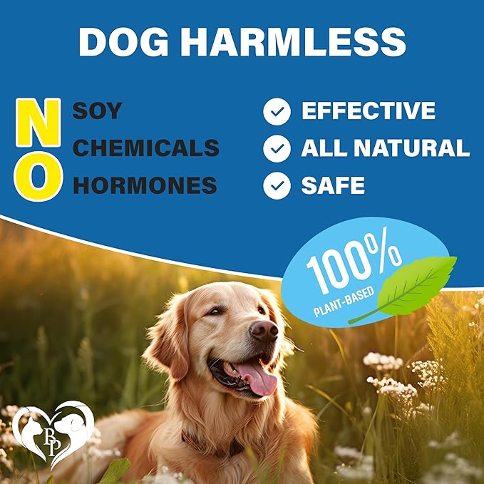 Flea and Tick Prevention Chewable Pills for Dogs and Cats - Revolution Oral Flea Treatment for Pets - Pest Control & Natural Defense - Chewables Small Tablets Made in USA (Beef)