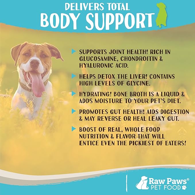 Raw Paws Beef Bone Broth for Dogs & Cats, 6-oz - Made in USA - Food Topper - Bone Broth Protein Powder for Dogs - Gravy Topper for Dry Food - Supports Joint Health