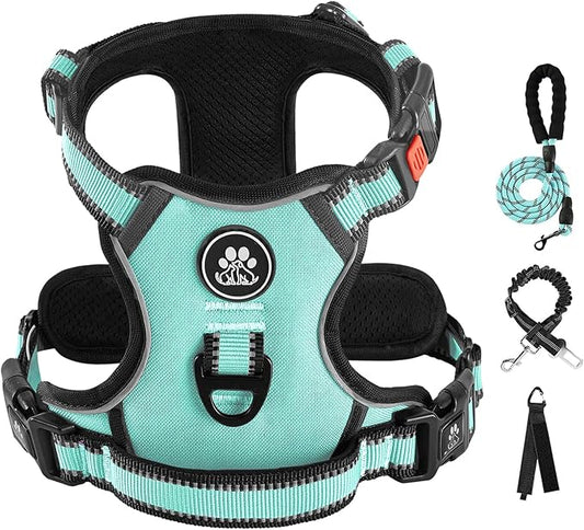 IVY&LANE No Pull Dog Harness with Leash Set, Reflective No Choke Pet Vest,Adjustable Oxford Dog Vest Harness with Easy Control Handle for Small Dogs (Turquoise,S)