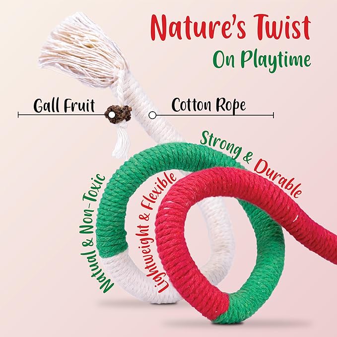 Cat Chew Rope - 6 Pack Cat Chew Toy for Teeth Cleaning, Interactive Kitten Teething Toys with Silvervine Stick to Transfer Chewing from Wires, Cotton String with Natural Silvervine Ball