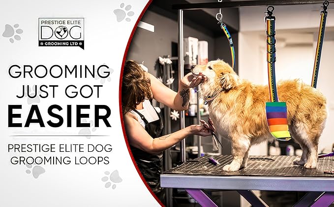 Prestige Elite - Set of 6 - Dog Groomers Helper Grooming Loops for Dogs Groomers - Adjustable Biothane Dog Grooming Loop, Belly Strap, Grooming Noose, Extension Strap & More - Pet Grooming Leash