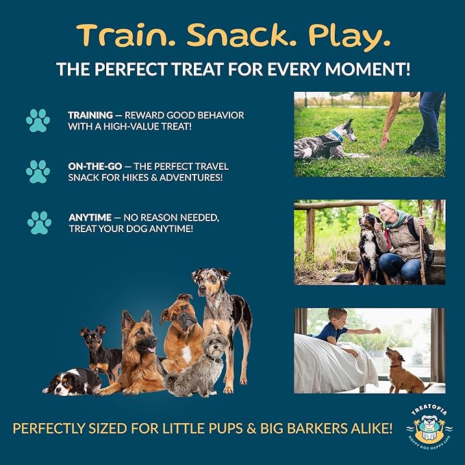 Beef Lung Nuggies Dog Treats, 1 LB Bag - All-Natural, Sustainable, Healthy, High Protein, Hand-Trimmed, Slow-Roasted, Made in The USA, Nutritious, No Additives, No Fillers