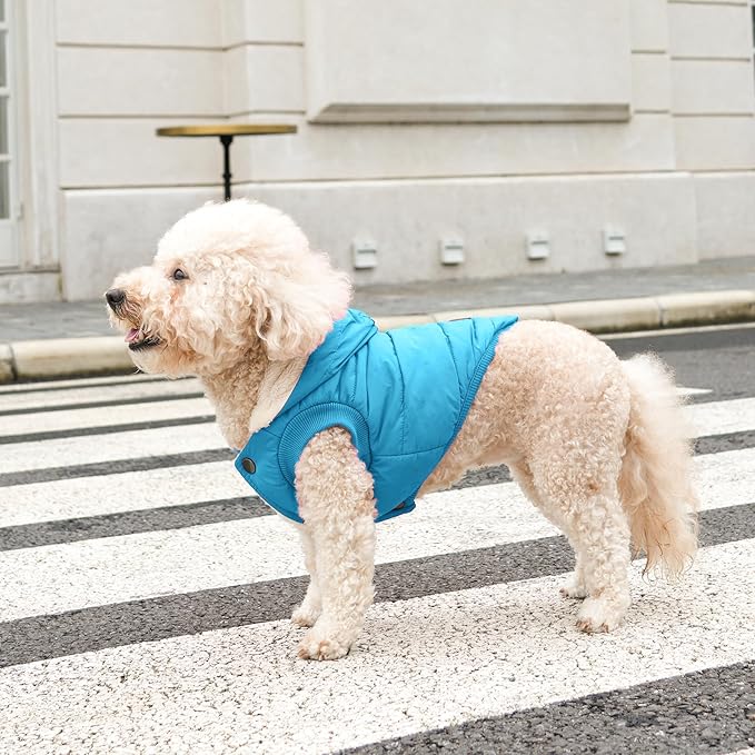 Fleece Lining Extra Warm Dog Hoodie in Winter for Medium Dogs Jacket Pet Coats with Hooded,Light Blue L