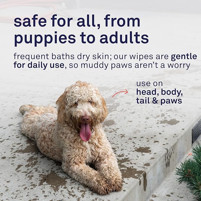 Petpost Grooming Wipes for Dogs | 70 Count Large Deodorizing Dog Cleaning Wipes with Coconut Extract & Aloe | Gentle Pet Wipes with Cherry Blossom Scent for Full-Body Grooming