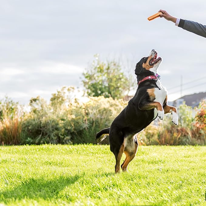 peakNpaws Himalayan Yak Cheese Dog Treats - Natural Chews for Aggressive Chewers - Grain-Free, Easily Digestible, Promoting Oral Health (3 Chews/24 oz Jumbo Size)