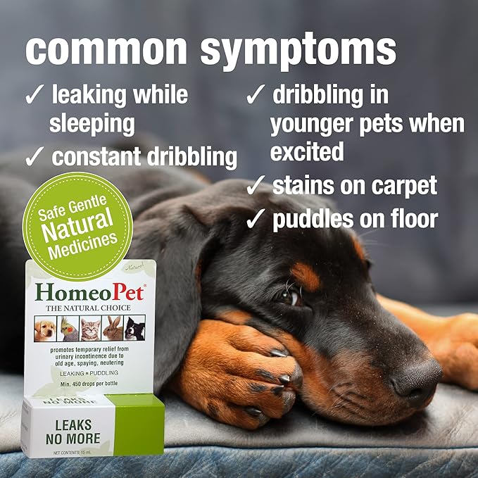 HomeoPet Leaks No More, Safe, Gentle, and Natural Cat and Dog Urinary Incontinence Relief, 15 Milliliters