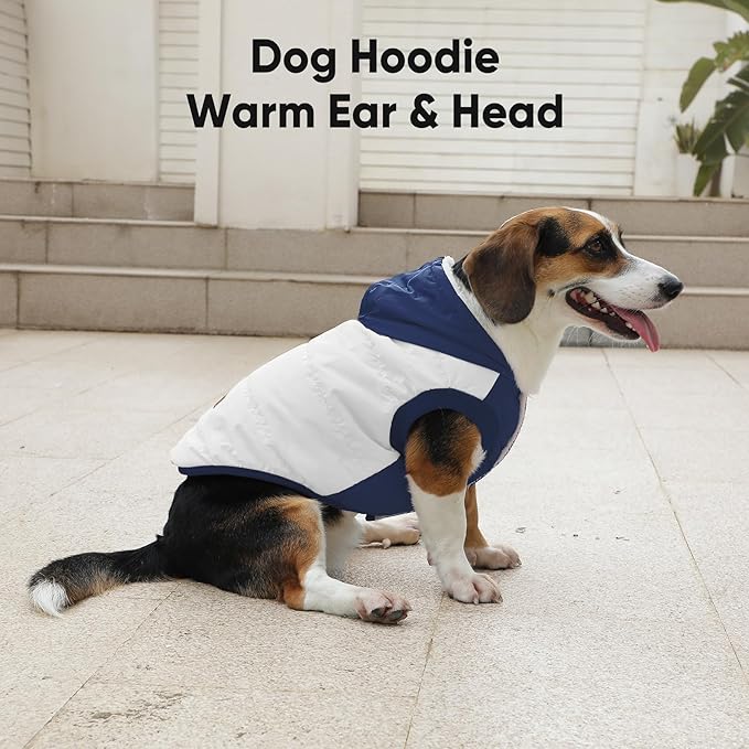 Fleece Lining Extra Warm Dog Hoodie in Winter for Small Dogs Jacket Puppy Coats with Hooded,Beige and Blue M