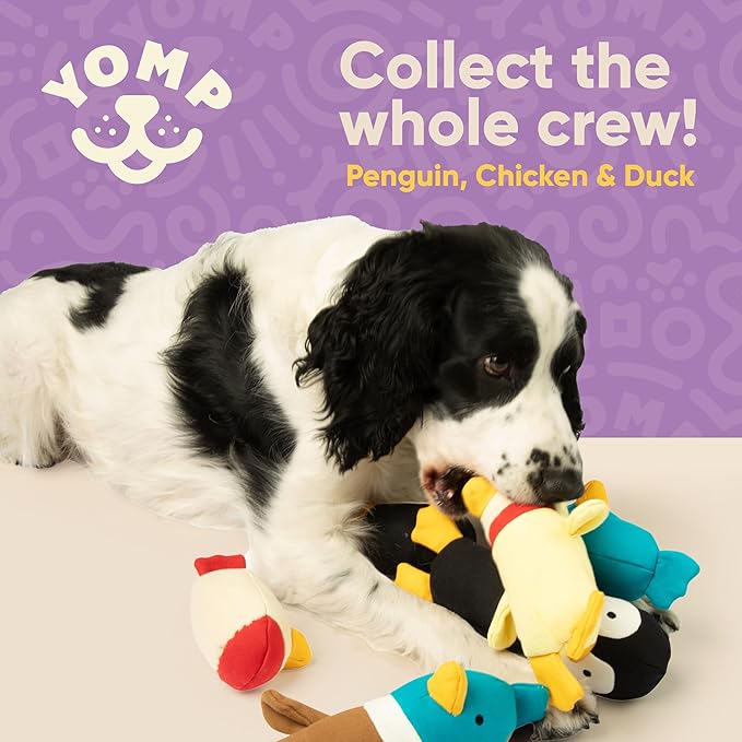 Yomp Plush Duck Dog Toy – Durable Stuffed, No Squeaker Dog Toys with Natural Canvas and Crinkle Paper – Interactive Stuffed Animal for Dogs (2-Pc Quacker Set)