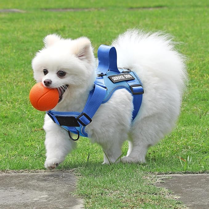 Demigreat Service Dog Harness, Reflective Dog Vest Harness with 5 PCS Patches, Adjustable Soft Oxford Pet Harness, Inner Layer Mesh, Easy to Control for Small Medium Large Dogs