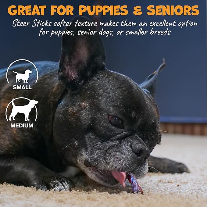 Thick Steer Bully Sticks for Medium Dogs & Small Breeds - No Hide Dog Chews & Single Ingredient Dog Treat - Bully Sticks for Medium Breeds - 5-6" (12ct)