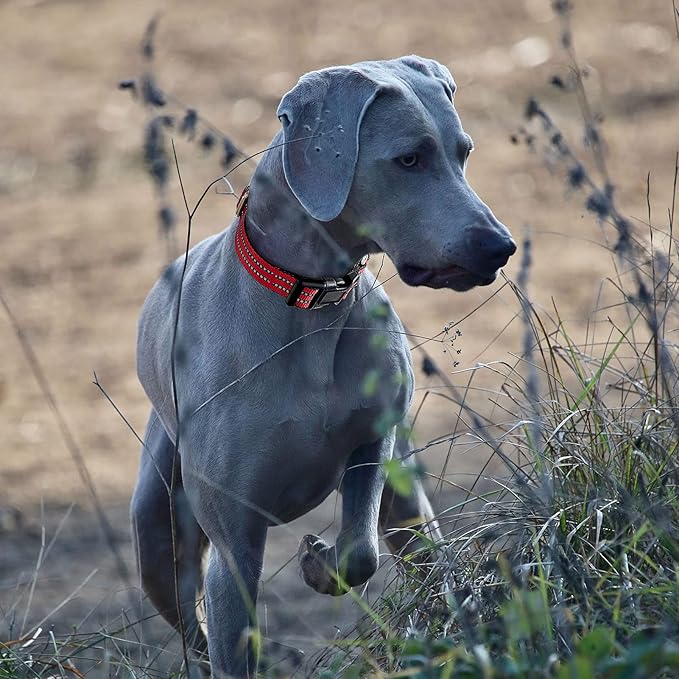 Hikiko Martingale Dog Collars Reflective Nylon Dog Collar with Quick Release Buckle Adjustable Training No Slip Dog Collar (Small, Red)