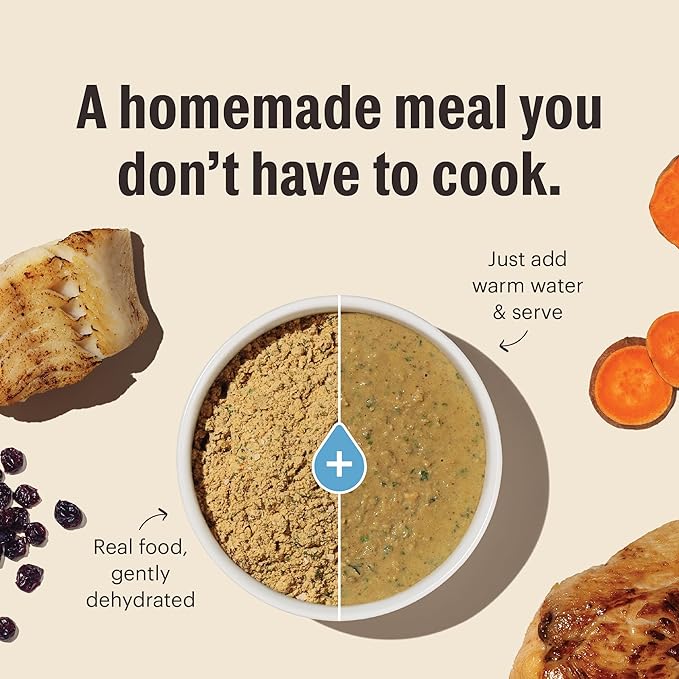 The Honest Kitchen Dehydrated Grain Free Chicken Cat Food, 2 lb Box