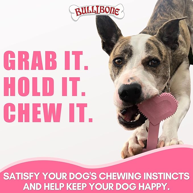 Bullibone Nylon Dog Chew Toy Nylon Bone - Improves Dental Hygiene, Easy to Grip Bottom, and Permeated with Flavor (Peppermint, Small - 3 Pack)