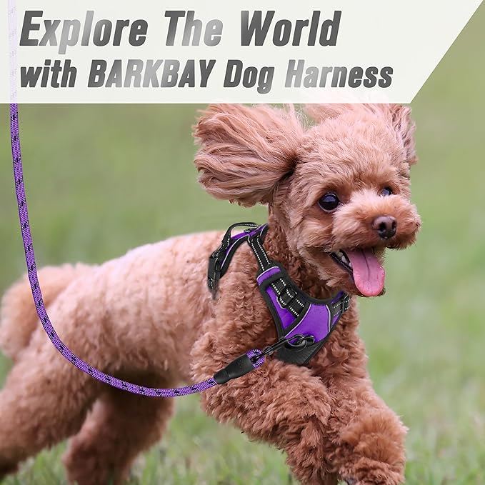 BARKBAY No Pull Dog Harness Front Clip Heavy Duty Reflective Easy Control Handle for Large Dog Walking(Purple,XS)