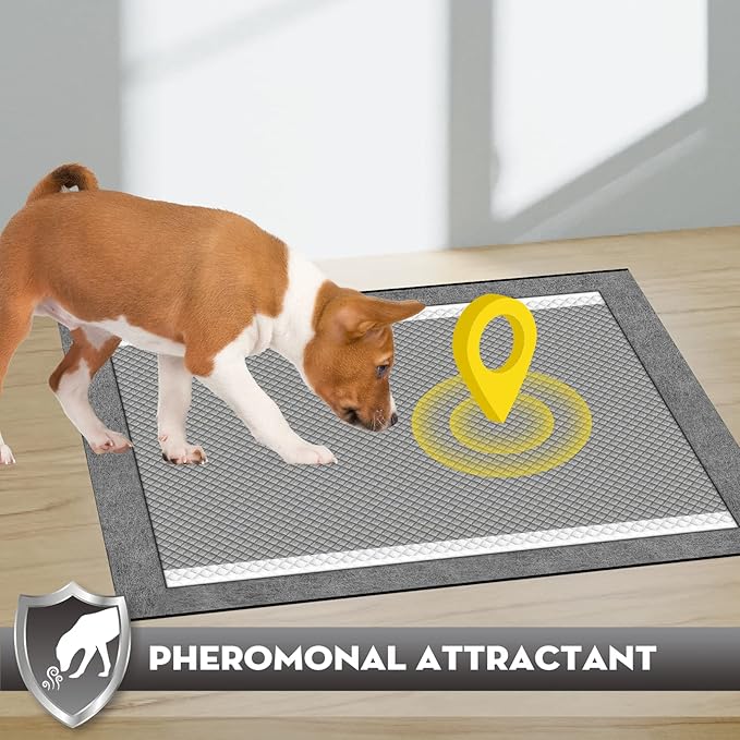 CROCI 36"x36" 3XL Activated Carbon Pee Pads for Dogs, Odor-Control Charcoal Dog Pads Absorbs Up to 11 Cups of Liquid, 6-Layer Thicker Leak-Proof & Quick Dry Dog Training Pads, Disposable (25 Counts)