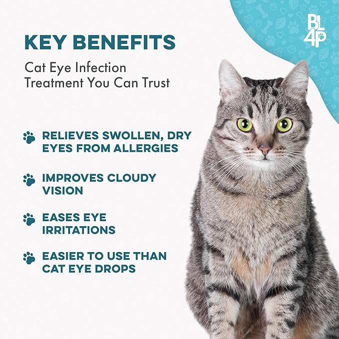 Cat Eye Infection & Vision Care Support, Holistic Vision Support for Cats & Kittens, Soothes Eye Infections, Conjunctivitis, Swelling, and Discharge, Easy to Use, 400 Odorless, Tasteless Pills
