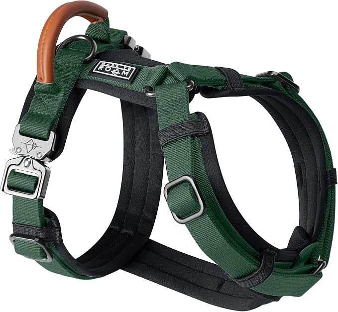 MADE TO ROAM Premium Explorer Harness - Y-Shaped Dog Harness with Adjustable Durable Nylon, Soft Padding, Metal Buckles and Leather Handle for Small, Medium, Large Dogs (Maine Marina, Size 2)