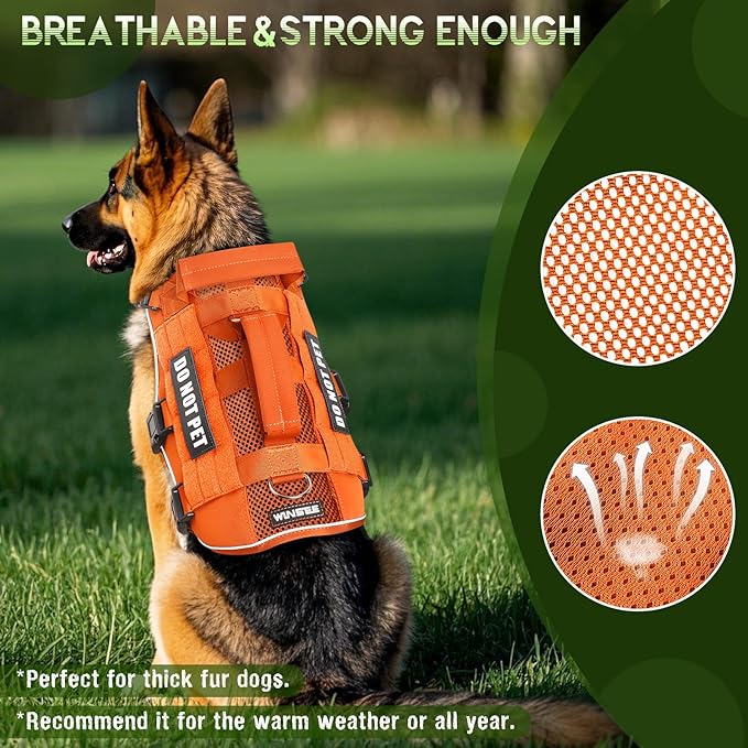 WINSEE Mesh Dog Harness with 10 Pet Patches for Large Service Dog in Training, Breathable Tactical Molle Vest with Double Handles, Reflective Military Pet Vest for Walking Hiking