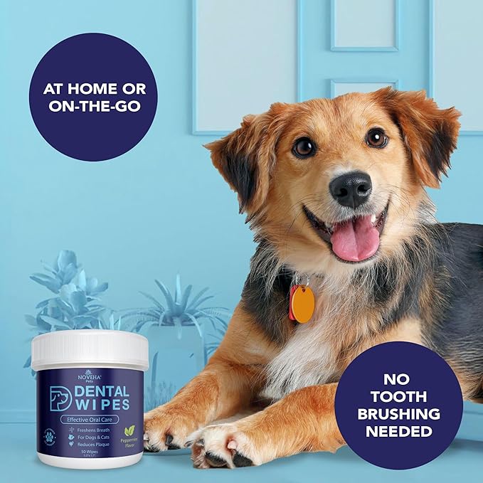 NOVEHA 50PCs Pets Dental Finger Wipes for Dogs & Cats | Freshens Breath, Reduces Plaque | Healthier Gums | Clean Teeth No Toothbrush | Vet Recommended Effective Natural Oral Care | Mint Flavor