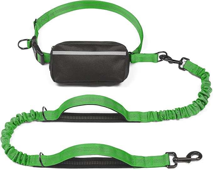 iYoShop Hands Free Dog Leash with Zipper Pouch, Dual Padded Handles and Durable Bungee for Walking, Jogging and Running Your Dog (Large, 25-120 lbs, Emerald)