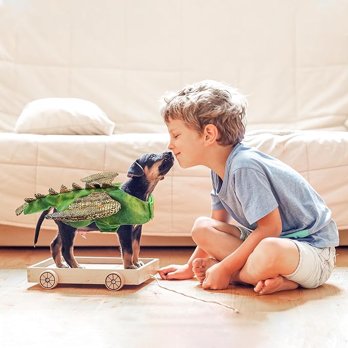 NACOCO Halloween Small Puppy Costume - Pet Dinosaur Cosplay Rabbit Outfit Kitten Animal Bunny Puppy Small Dog Cat Cute Clothes for 4Ib Rabbit Clothes (Green, S)