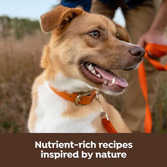 Nature's Recipe Chicken, Barley & Brown Rice Recipe Dry Dog Food with Freeze Dried Chicken Bites 10.5 lb Bag