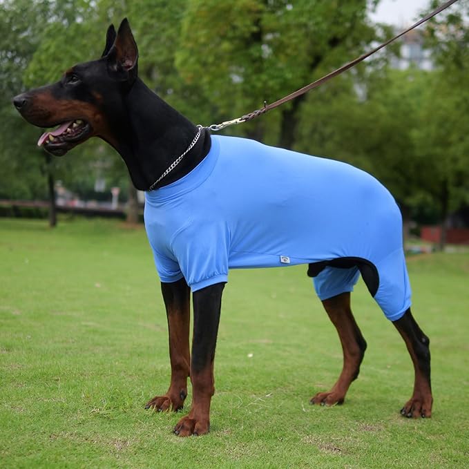 LoveLongLong Dog Jumpsuit with UV Protection and Quick-Dry Fabric for Spring Summer Pet Pajamas Sea Blue M