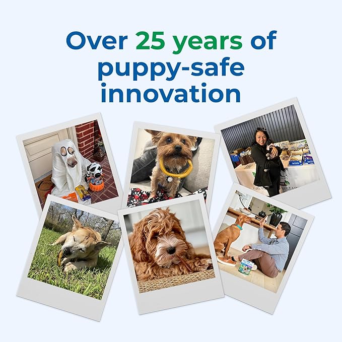 N-Bone Puppy Teething Treats,Chicken, 3.74 oz (111150)