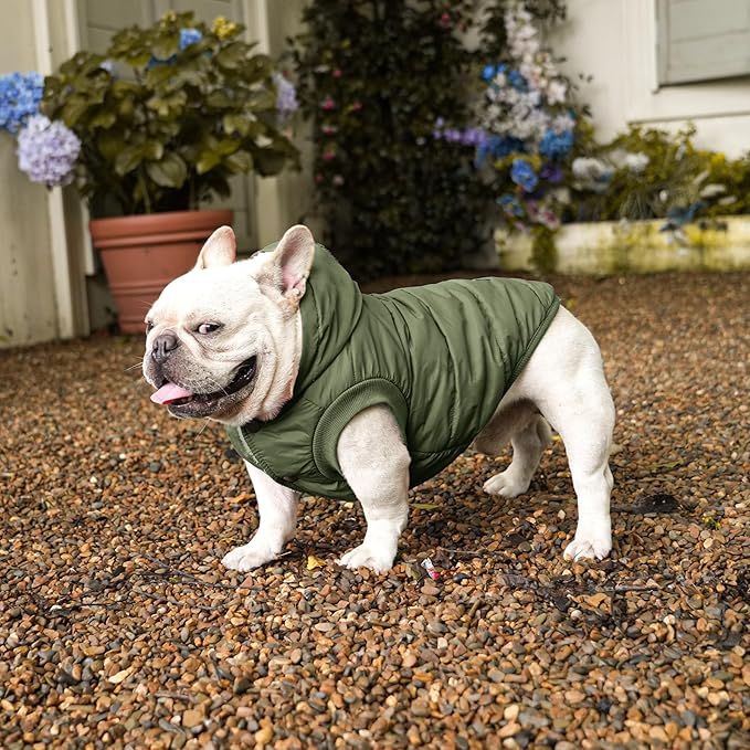 Fleece Lining Extra Warm Dog Hoodie in Winter for Medium Dogs Jacket Pet Coats with Hooded Green L