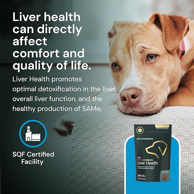 VetriScience Veterinary Strength Liver Health Chews - Canine Liver Care Supplement for Detox Support - Dog Supplement - Supports Immune System - No Fasting Required - 60 Count